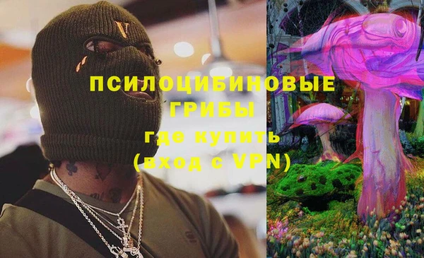 ALPHA PVP Алексин
