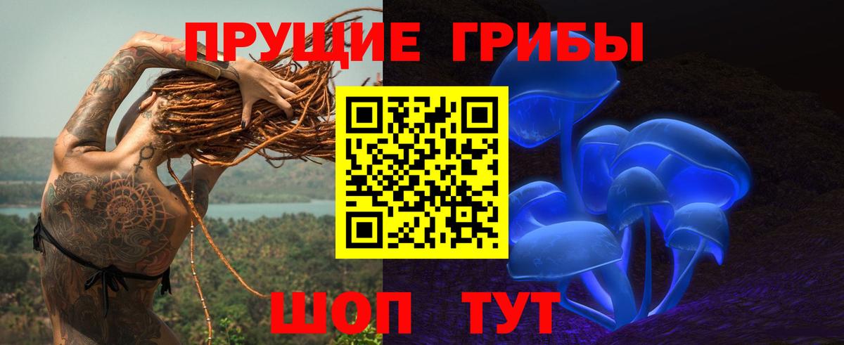 Энгельс  Псилоцибиновые грибы прущие грибы  Галлюциногенные грибы Cubensis  как найти   Вход с VPN 