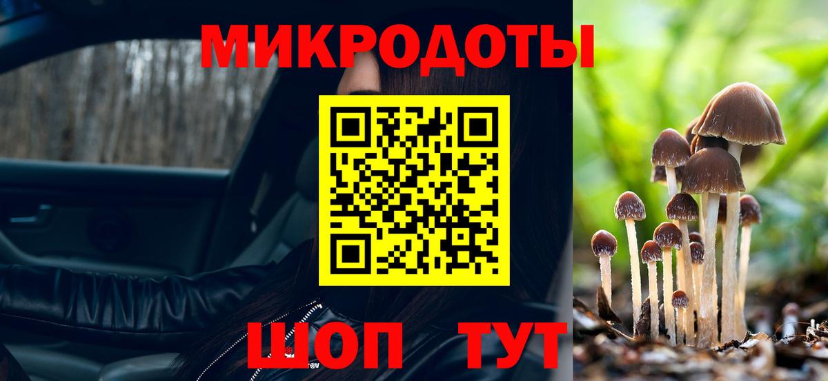 Галлюциногенные грибы мухоморы Энгельс